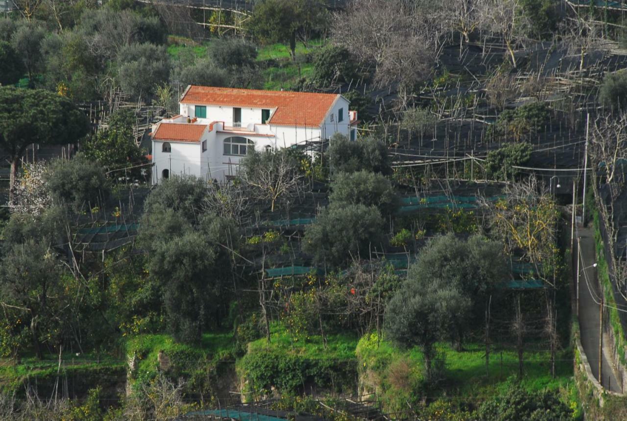 Azienda Agricola Veniero П'яно-ді-Сорренто Екстер'єр фото